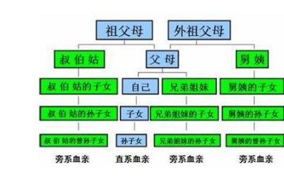 法定直系亲属包括哪些，哪些直系亲属有继承权